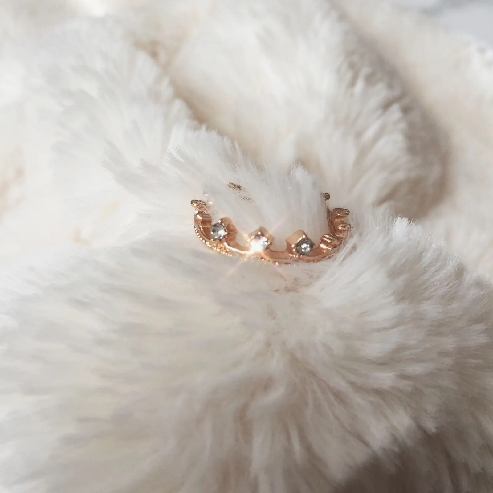 Coronet Ring